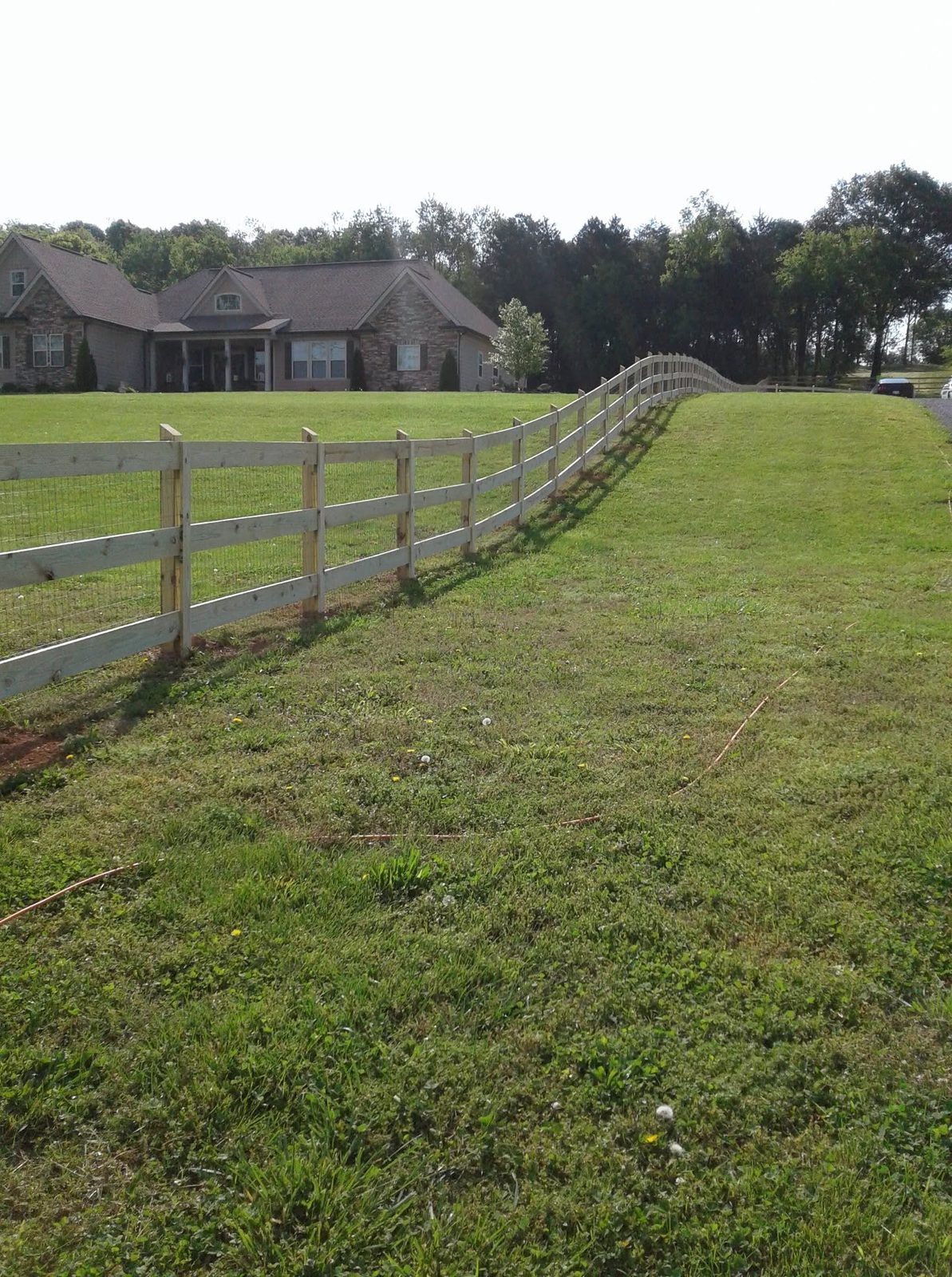 Wood post-and-rail agricultural fence running along an open pasture