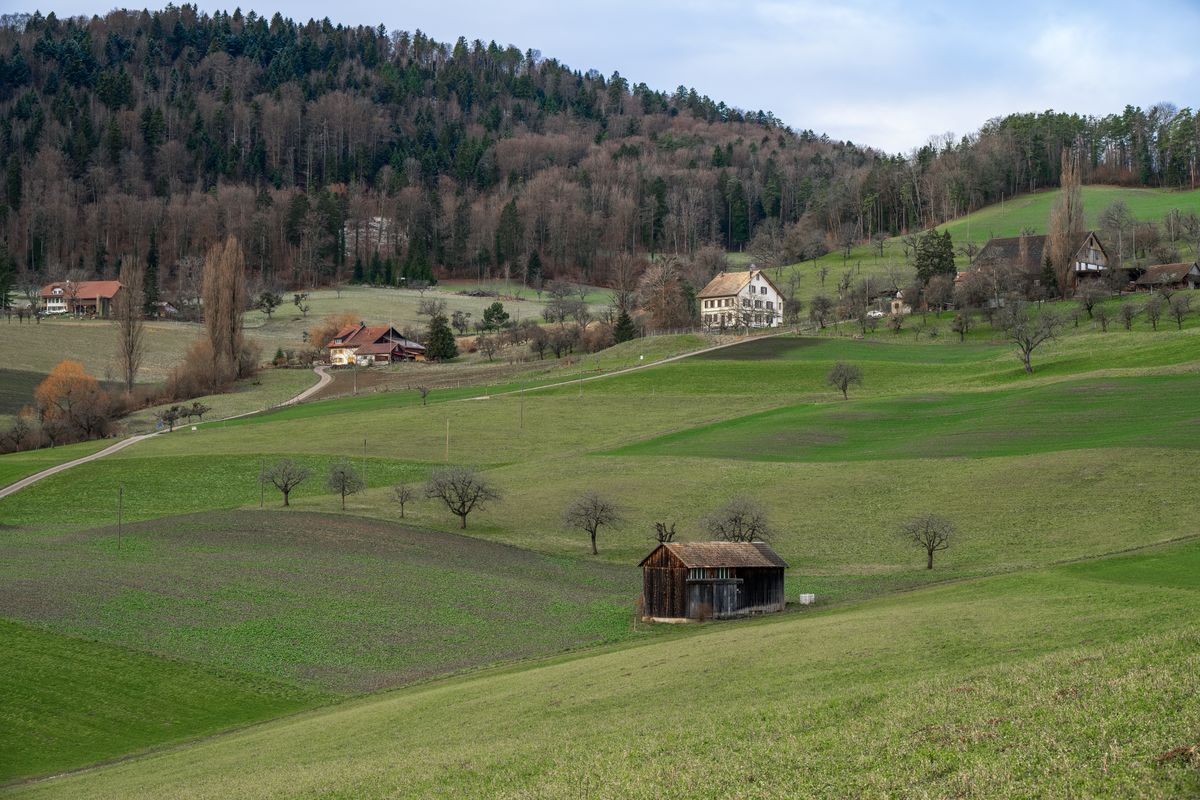 Rolling green farmland and scattered farmhouses in rural Bradley County, Tennessee