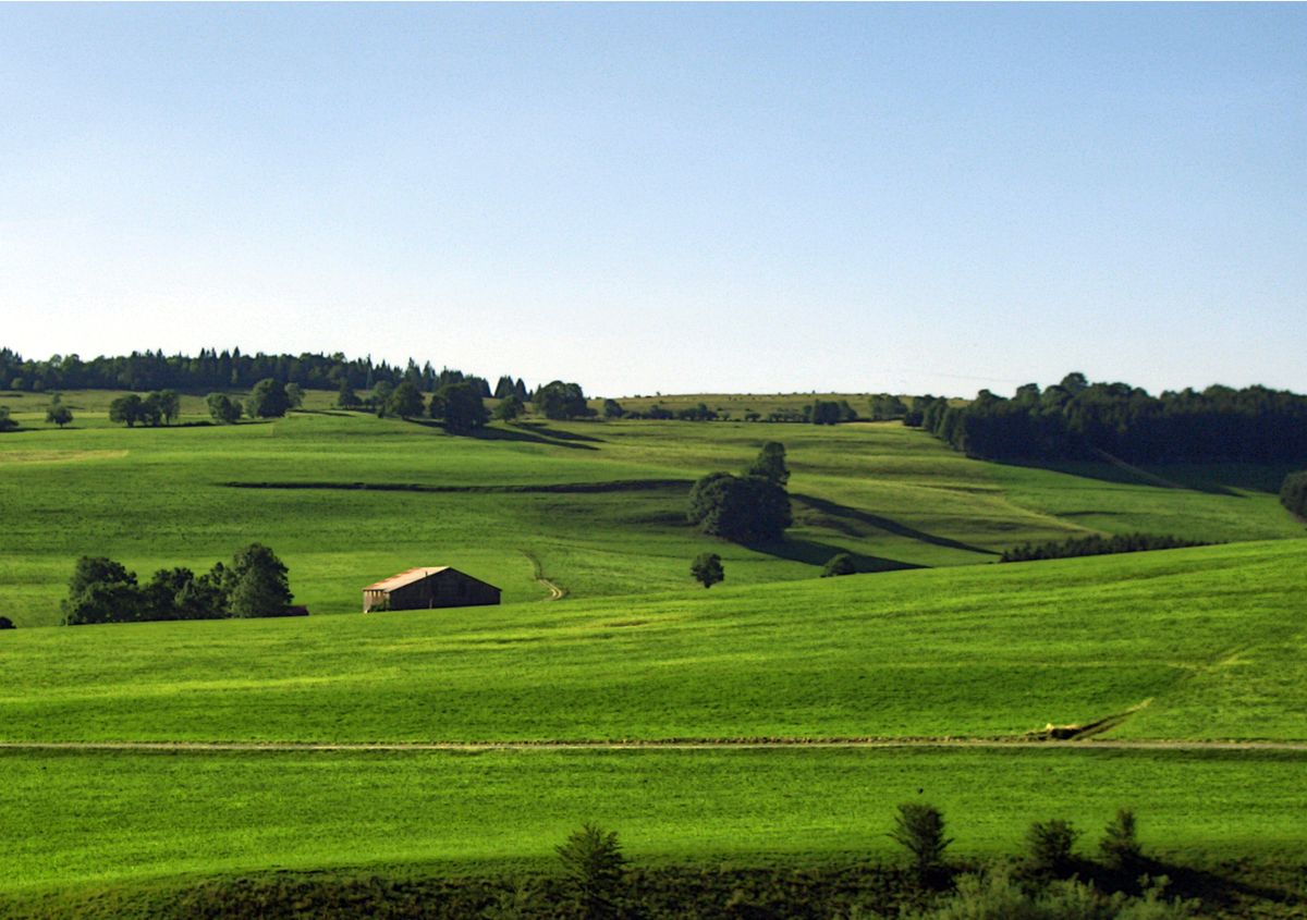 Open green pasture and rolling hills of the McMinn County, Tennessee countryside