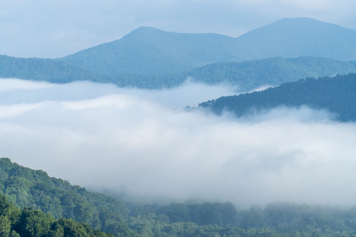 Morning fog settling over the forested foothills of Monroe County, Tennessee