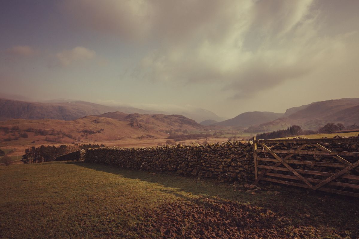 Wood post-and-rail agricultural fence along an open pasture