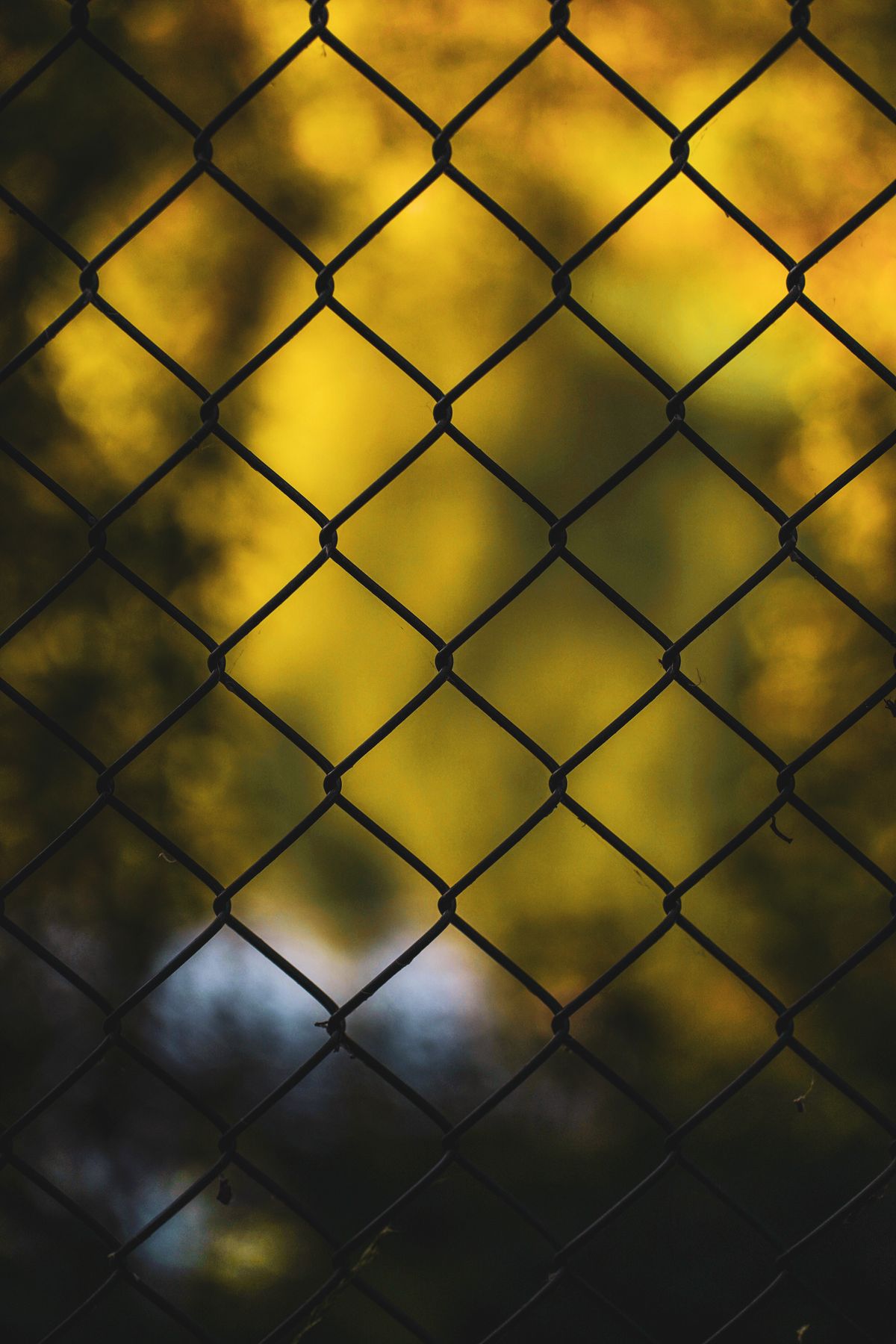 Galvanized chain link fence installed along a residential yard